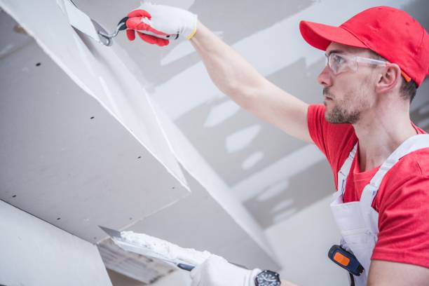 Best Trim and Molding Painting  in Zion, IL